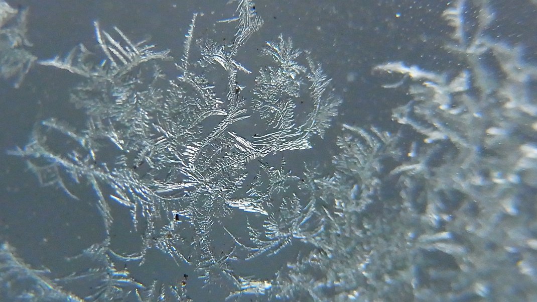 a0152692_1821671.jpg