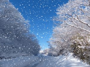 f0087800_1514647.gif