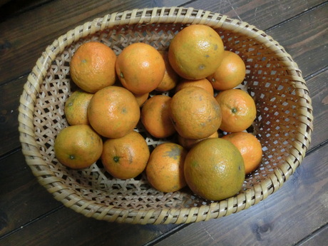 a0203003_9522266.jpg