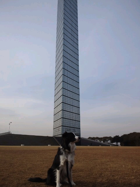 d0224111_10291679.jpg