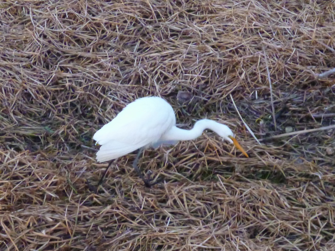 c0280416_1322780.jpg