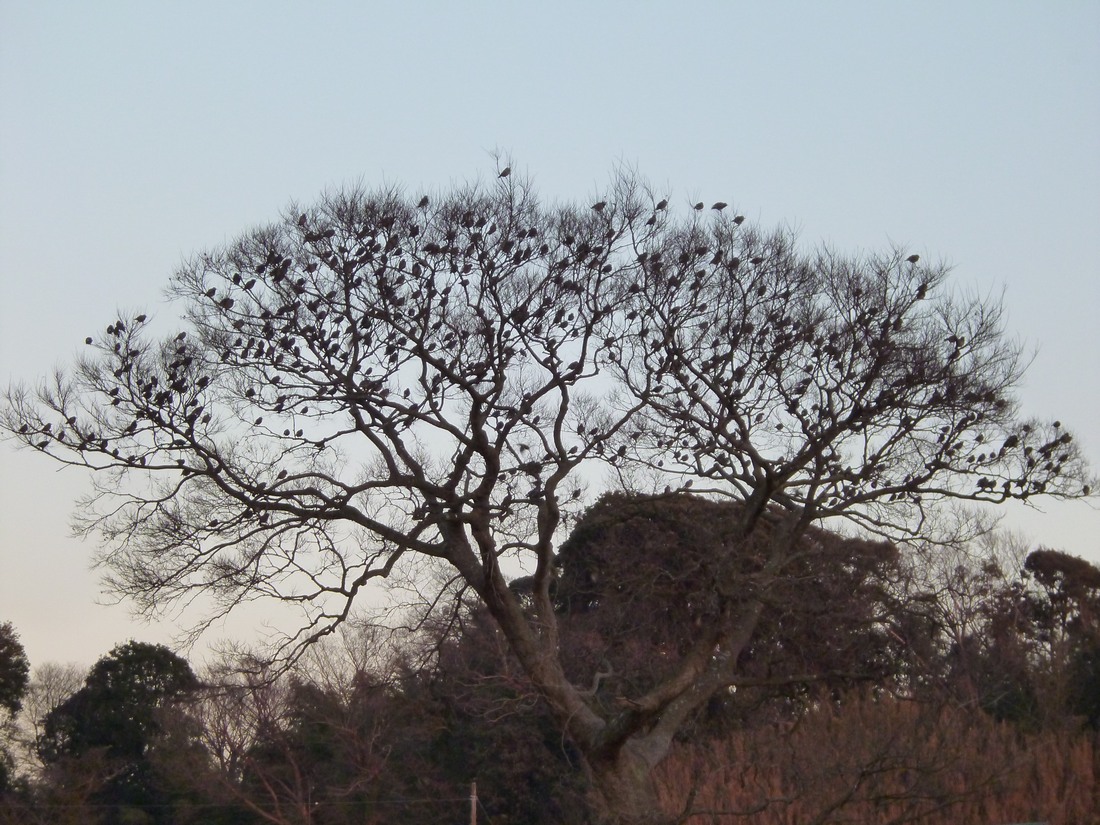 c0280416_1395995.jpg