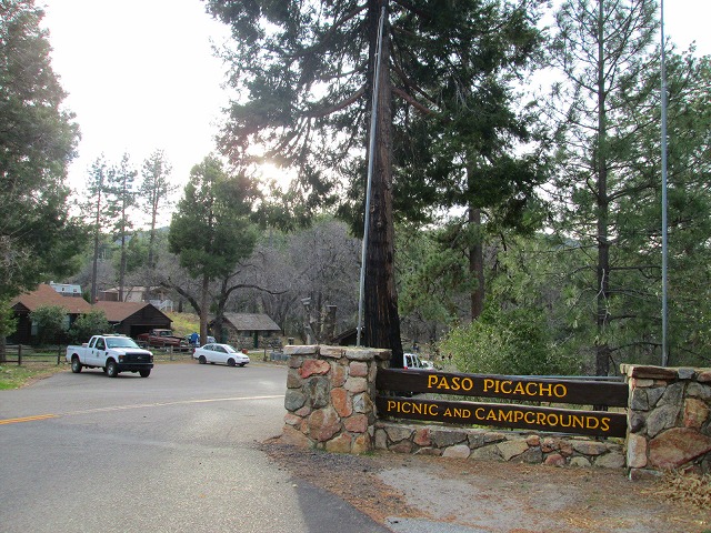 白い森の最後の奇跡　　　　　Cuyamaca Peak in Cleveland National Forest_f0308721_12264342.jpg