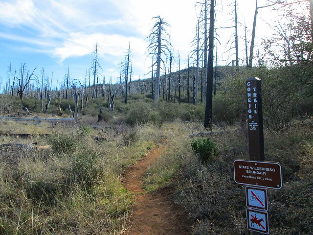 白い森の最後の奇跡　　　　　Cuyamaca Peak in Cleveland National Forest_f0308721_12514446.jpg