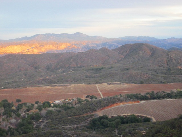 20マイルの大ループ　　　　　Dripping Springs Trail Loop　in Agua Tibia Mountain_f0308721_1435743.jpg