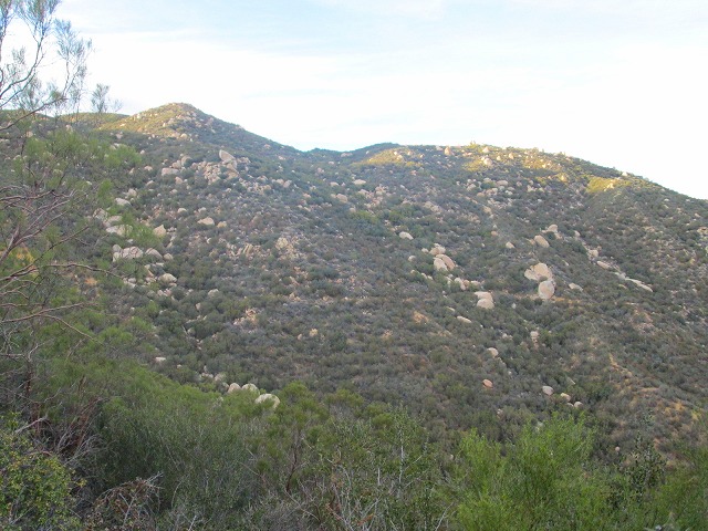 20マイルの大ループ　　　　　Dripping Springs Trail Loop　in Agua Tibia Mountain_f0308721_14362314.jpg