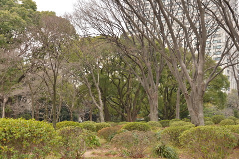 e0335926_00324930.jpg