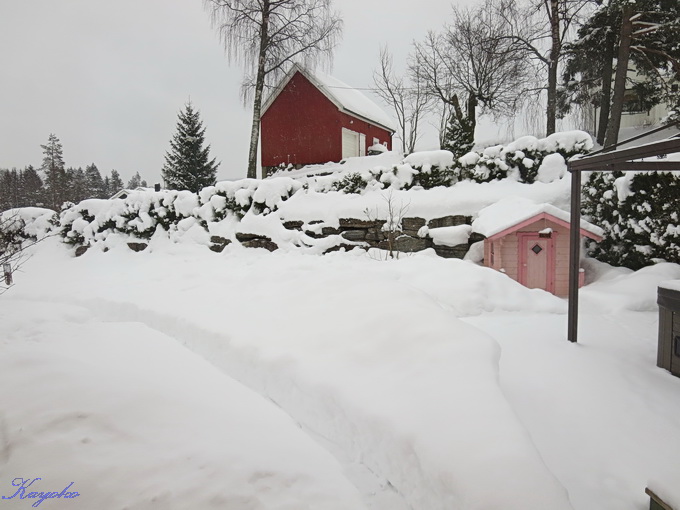 ふわふわ雪_a0086828_2329047.jpg