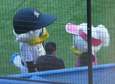 デカ頭過ぎて・・・目だけのマーくん♪_b0166128_2234137.jpg