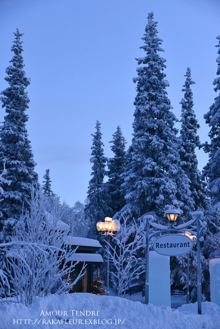 北欧の旅　ICEHOTELはやがて・・・_c0250634_341535.jpg