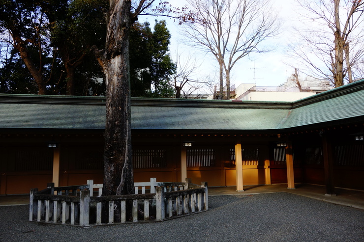 a0287336_214535.jpg