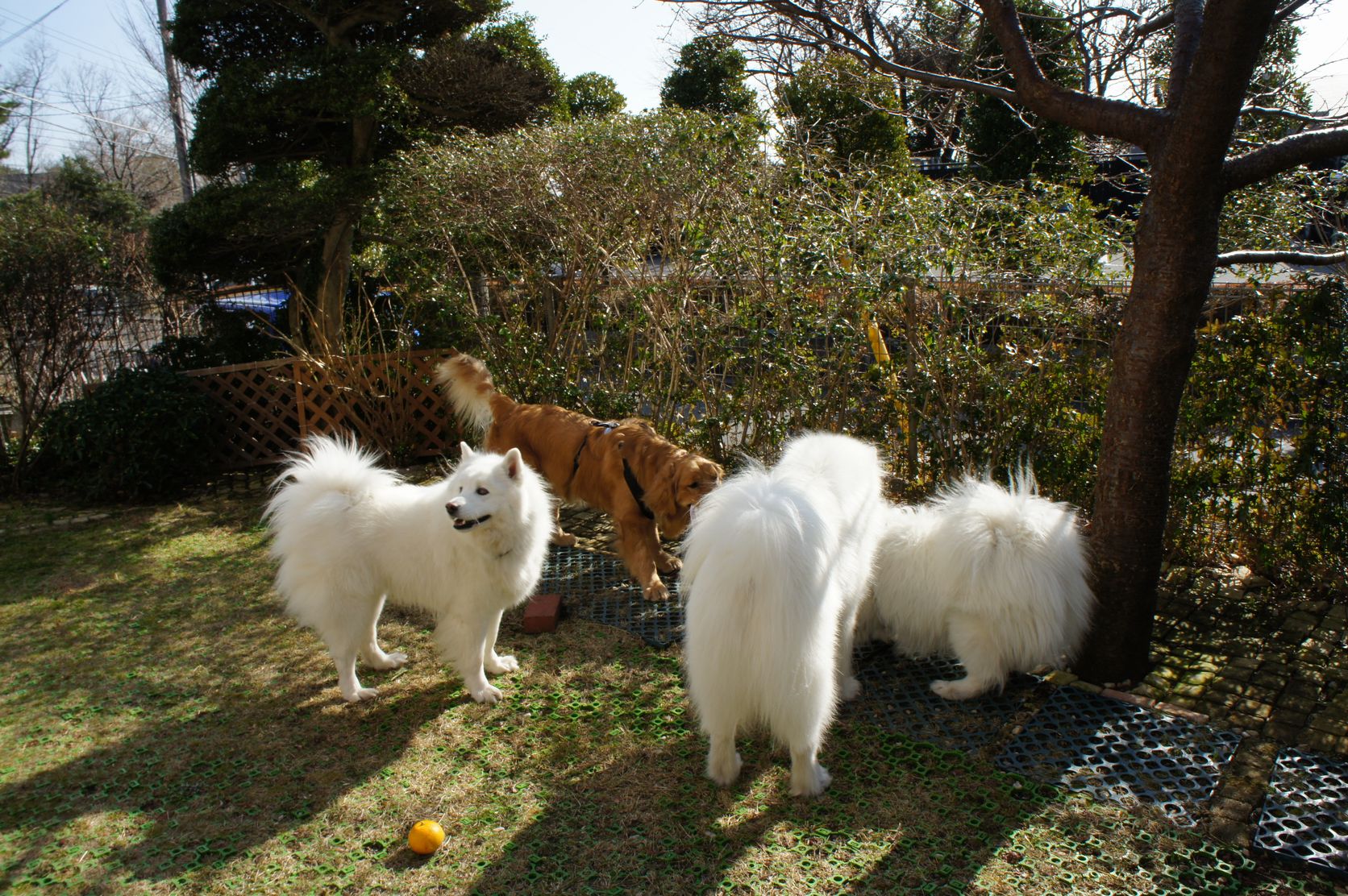 f0128542_92942.jpg
