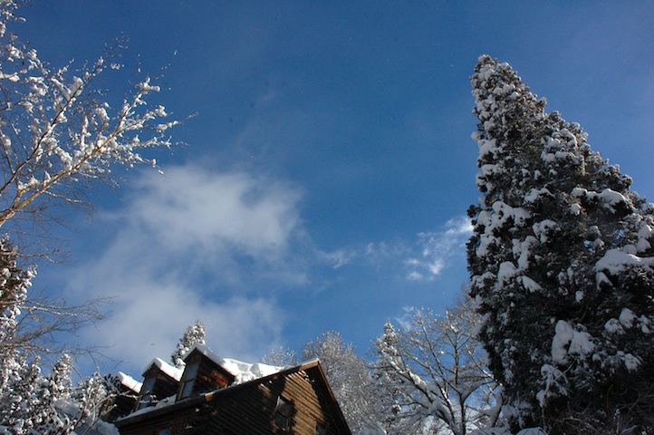 c0002943_1915518.jpg