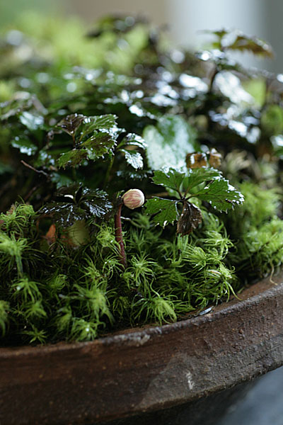 f0271343_17531275.jpg