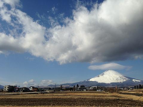 a0205246_041377.jpg