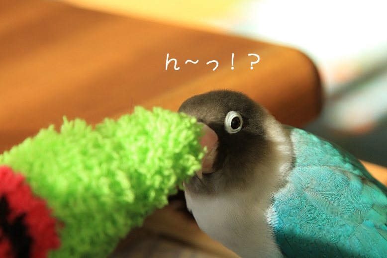 c0145250_16423556.jpg