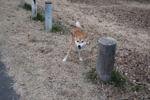 せっかく会えてたみたいなのに・・・_f0245650_1064545.jpg