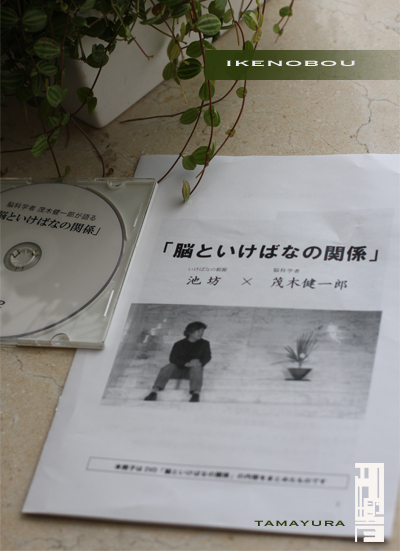 脳といけばなの関係_c0187754_428243.jpg
