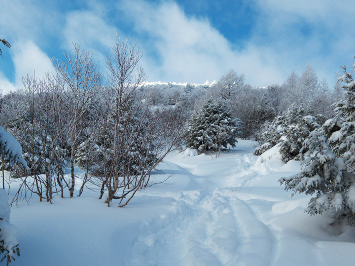 湯の丸山（長野県）_d0165557_8325747.jpg