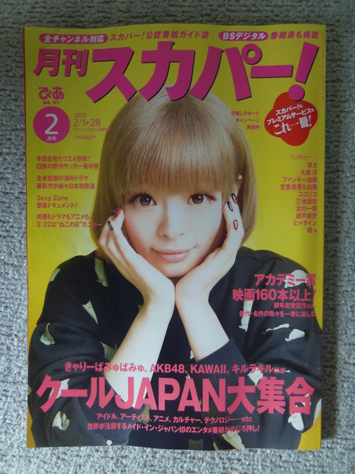 ㈱アドレナライズから、ゲラ2本が届き、ゲラ校正・・・。_c0198869_21112064.jpg
