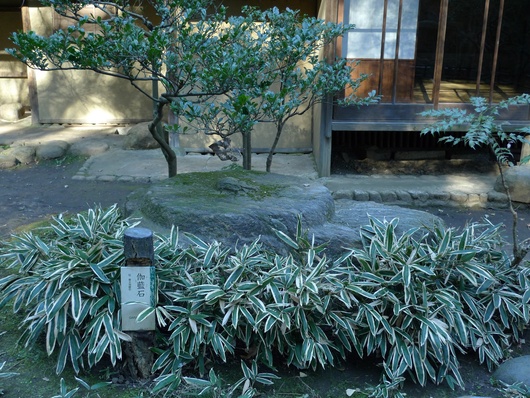 f0142070_8291387.jpg