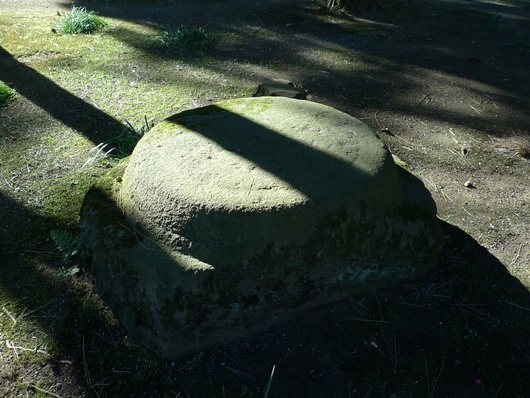 f0142070_8473670.jpg