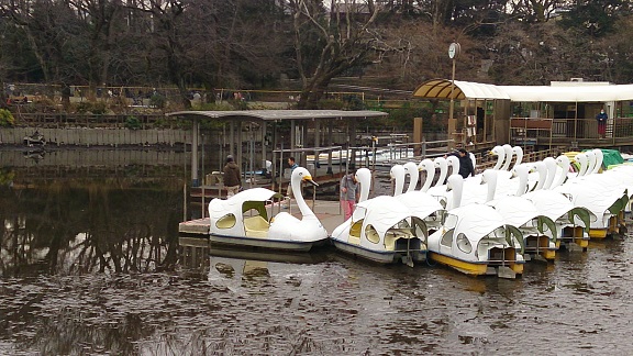 池の底から自転車が・・・・！　　井の頭公園かいぼり作戦_e0212073_1456279.jpg