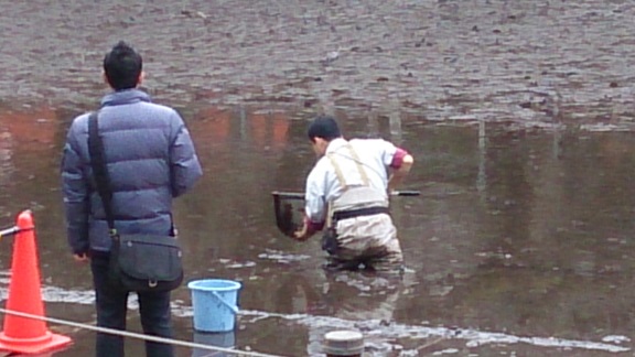 池の底から自転車が・・・・！　　井の頭公園かいぼり作戦_e0212073_15113943.jpg