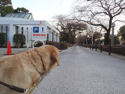 東宮御所（赤坂御用地）は広かった _f0052277_2282034.jpg