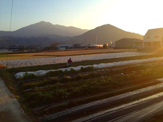 徳島・阿波市にある小野農園さんへ_a0277483_2211229.jpg