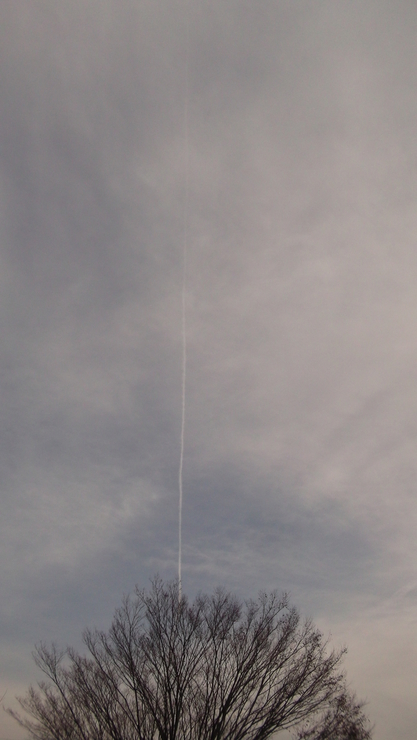c0212083_222179.jpg