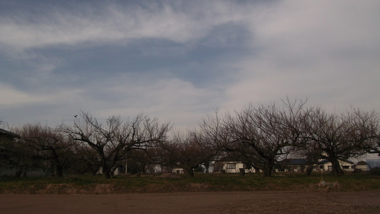 c0212083_2251793.jpg