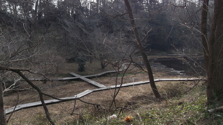 c0212083_2292329.jpg