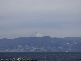 2014年1月25日 仕事しているよ~_b0098584_15443128.jpg