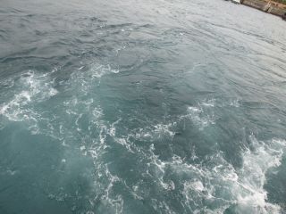 2014年1月25日 仕事しているよ~_b0098584_15463916.jpg