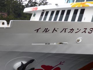 2014年1月25日 仕事しているよ~_b0098584_1546694.jpg