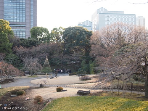 冬の小石川後楽園_e0211786_19353668.jpg