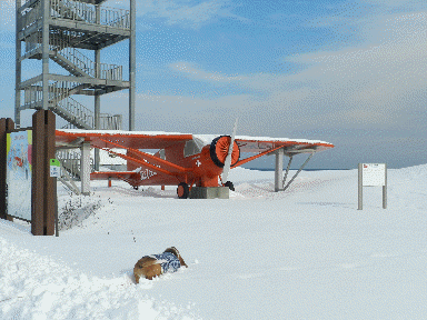 f0205887_19232091.gif