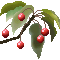 f0229190_14441718.gif