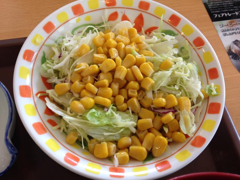 すき家のわさび山かけ牛丼 宝塚中筋店_c0118393_11294144.jpg