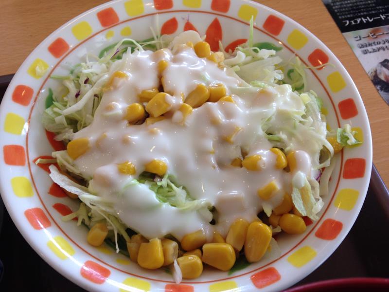 すき家のわさび山かけ牛丼 宝塚中筋店_c0118393_11311340.jpg