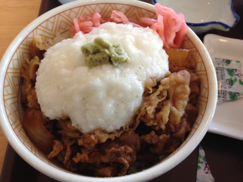 すき家のわさび山かけ牛丼　　　宝塚中筋店_c0118393_1133462.jpg