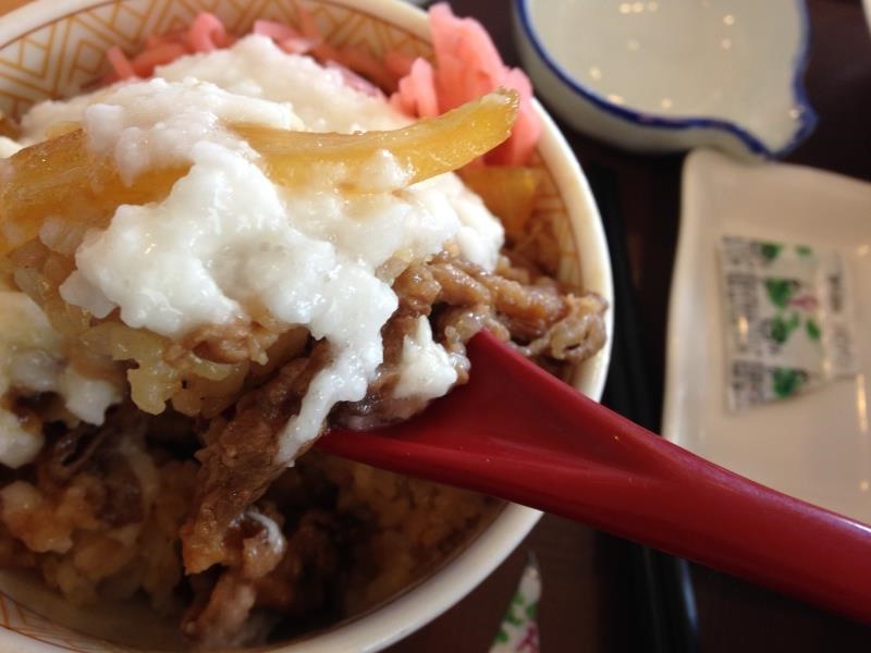 すき家のわさび山かけ牛丼 宝塚中筋店_c0118393_12163.jpg
