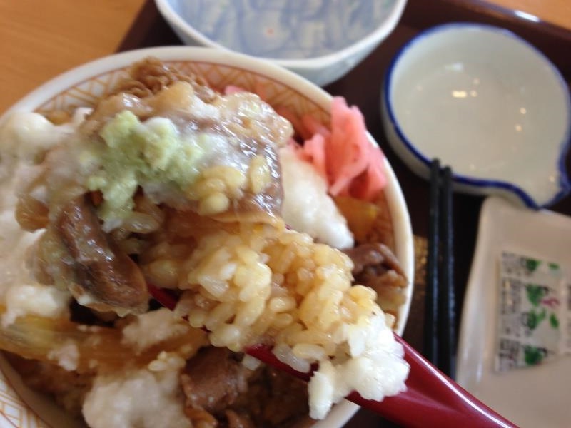 すき家のわさび山かけ牛丼 宝塚中筋店_c0118393_1233353.jpg