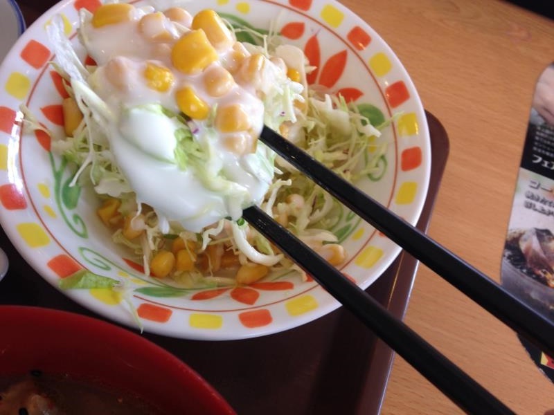 すき家のわさび山かけ牛丼 宝塚中筋店_c0118393_1243395.jpg