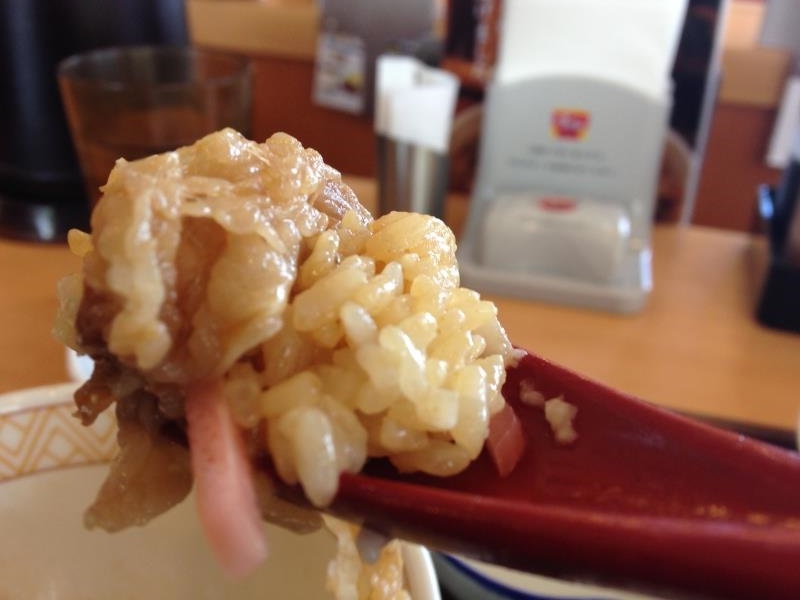 すき家のわさび山かけ牛丼 宝塚中筋店_c0118393_1272591.jpg
