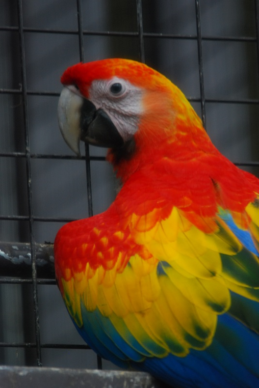 d0152593_15225055.png