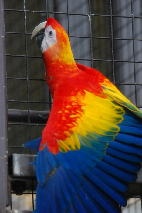 d0152593_15384465.png