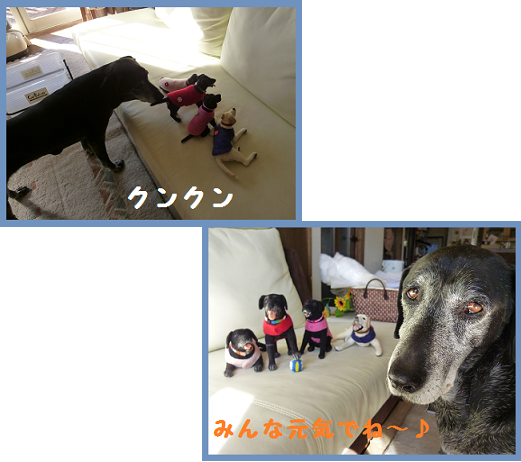 d0282395_1815583.png