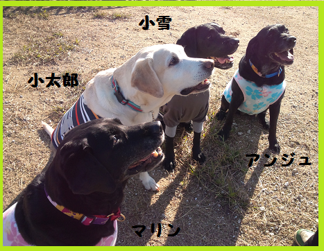 d0282395_1854951.png